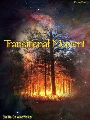 cover image of Transitional Moment